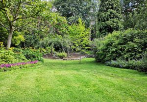 Optimiser l'expérience du jardin à Troisvaux